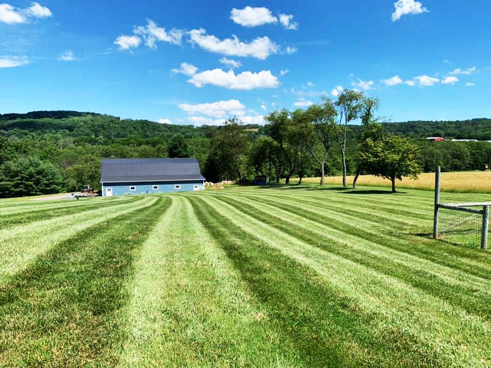 Beautifully manicured lawn with lawn striping