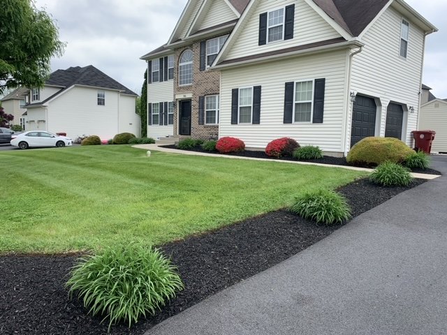 Driveway and walkway landscaping
